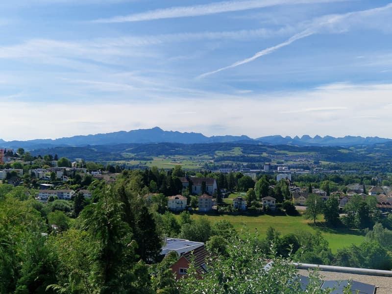 Einfamilienhaus für Gartenliebhaber (6)