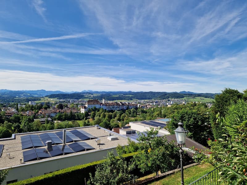 Einfamilienhaus für Gartenliebhaber (4)