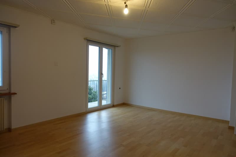 Einfamilienhaus für Gartenliebhaber (14)