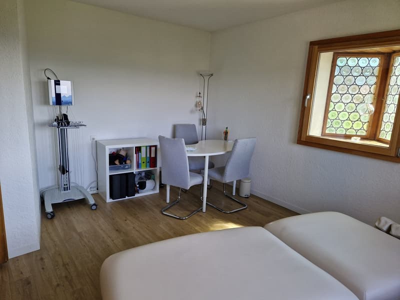 Einfamilienhaus für Gartenliebhaber (21)