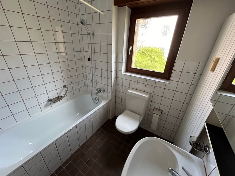 zentral gelegene Wohnung (7)