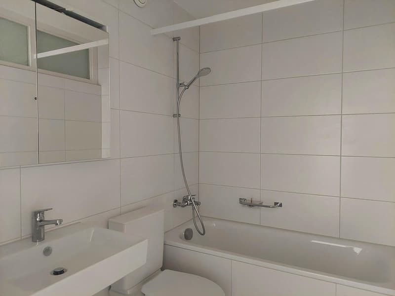 Teilsanierte Wohnung an ruhiger Lage (3)