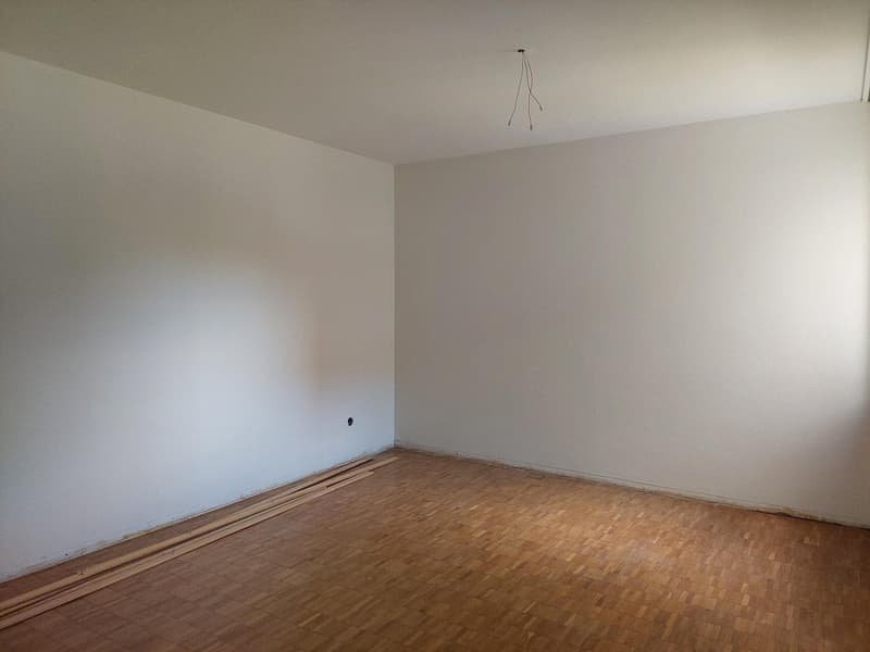 Teilsanierte Wohnung an ruhiger Lage (5)