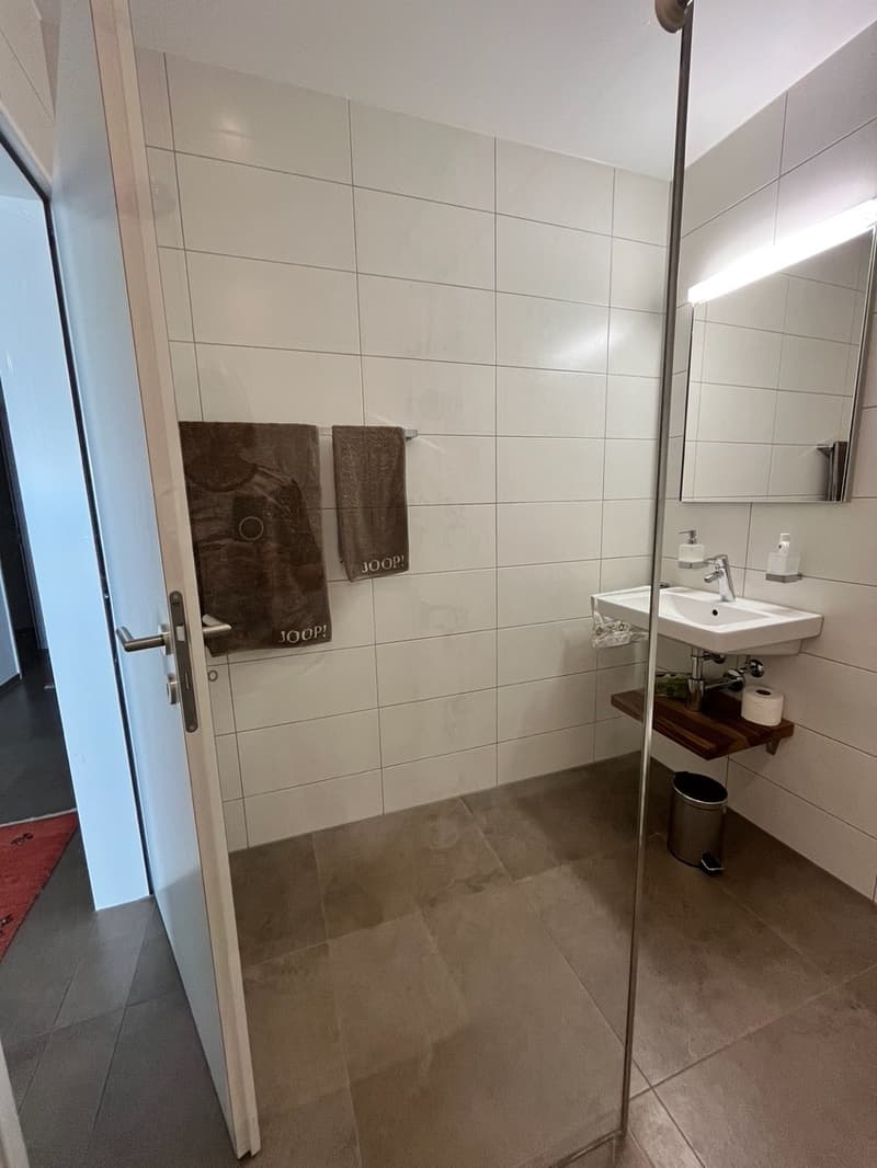 Ihre traumhafte Terrassenwohnung in Zuzwil (17)