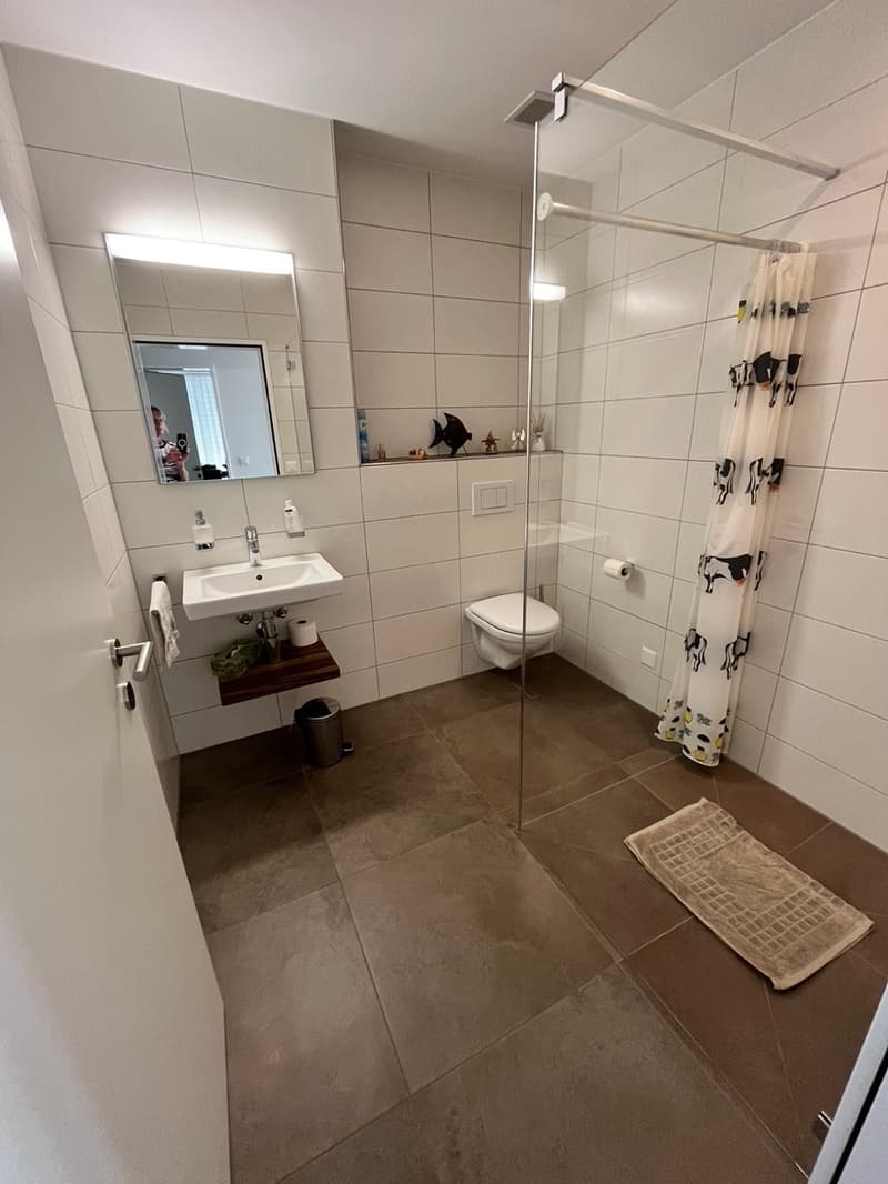 Ihre traumhafte Terrassenwohnung in Zuzwil (16)