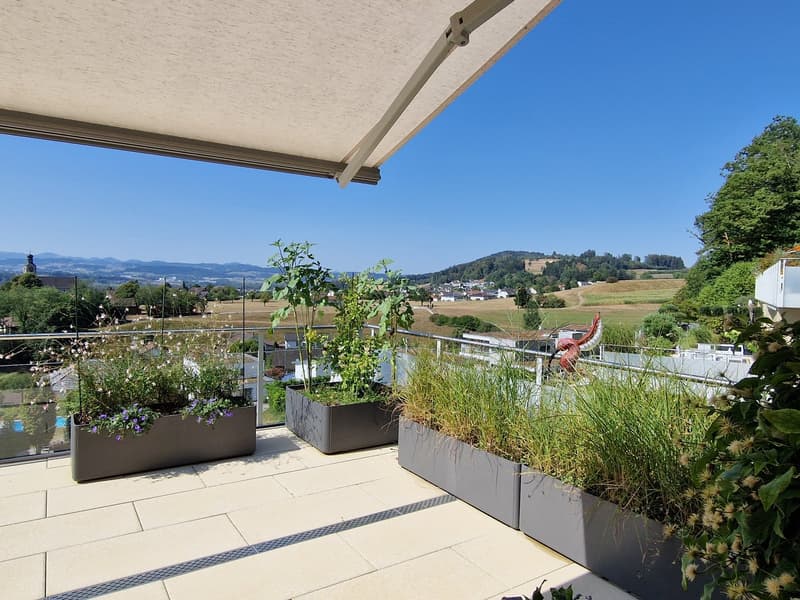 Ihre traumhafte Terrassenwohnung in Zuzwil (6)