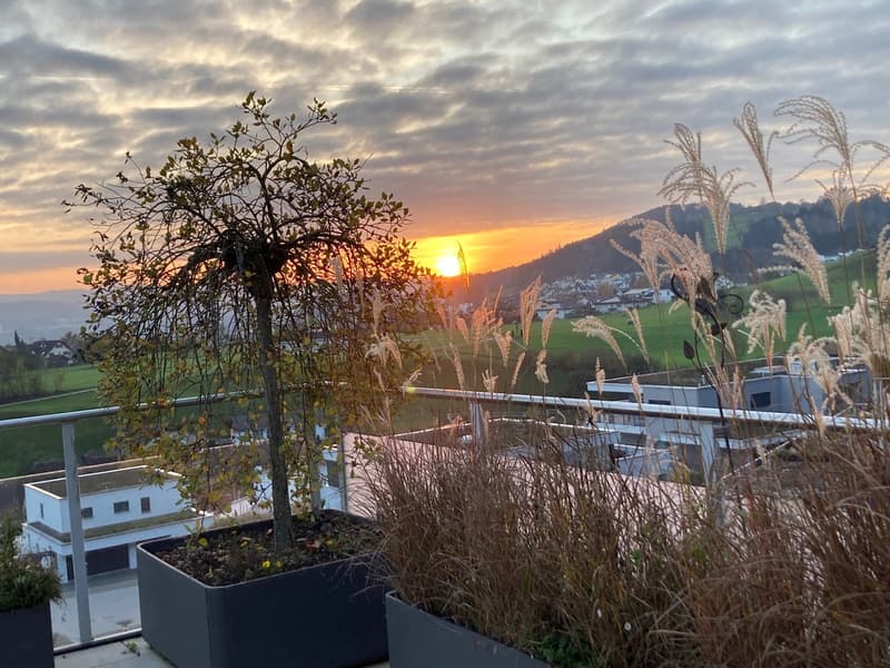 Ihre traumhafte Terrassenwohnung in Zuzwil (18)