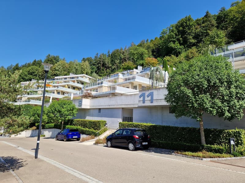 Ihre traumhafte Terrassenwohnung in Zuzwil (2)