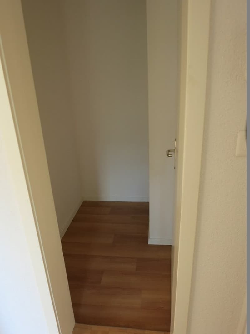 3.5-Zimmer-Wohnung in der Nähe vom Bahnhof (9)
