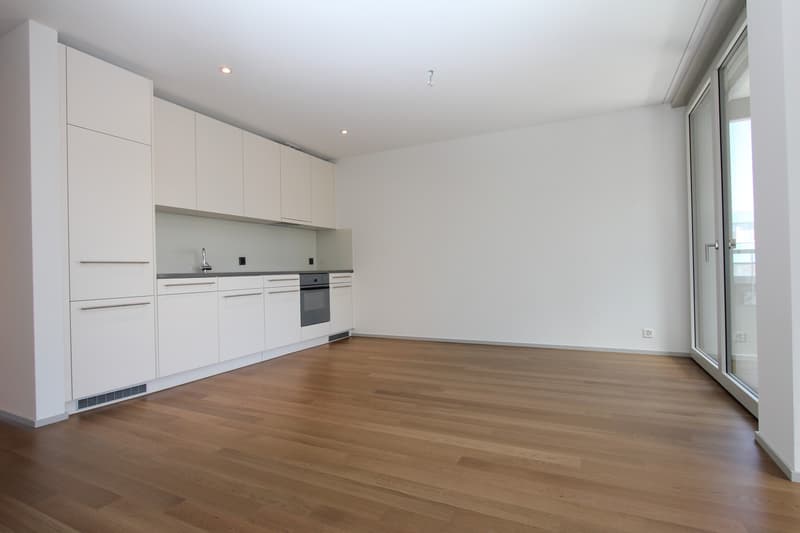 Topmoderne Wohnung in Zürich-Oerlikon (2)