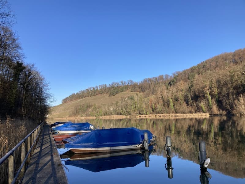 Helle 4½-Zimmerwohnung mit schöner Aussicht auf den Rhein - Bankgeprüft (12)