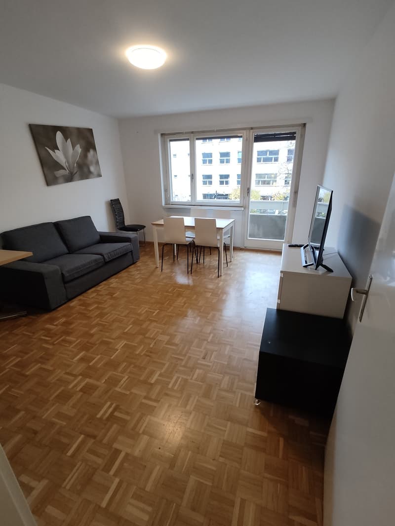 1.5 room Apartment in Gundeli (2)