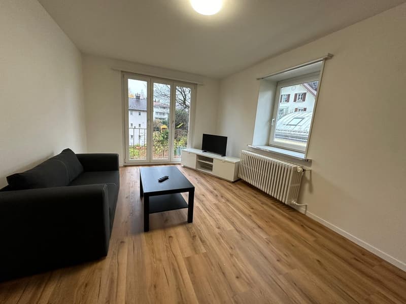 2.5 Room Apartment in Horgen (7)