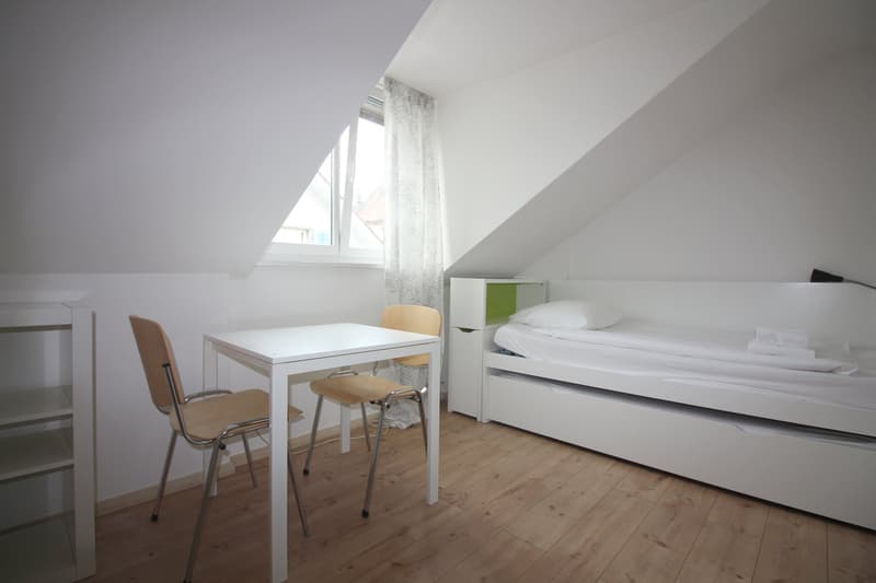 2.5 Zimmer Wohnung  mit 2 Schlafzimmern mit Dachterrasse in Hottingen (5)