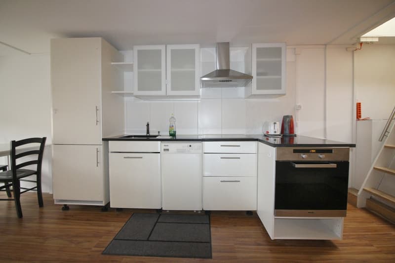 2.5 Zimmer Wohnung  mit 2 Schlafzimmern mit Dachterrasse in Hottingen (2)