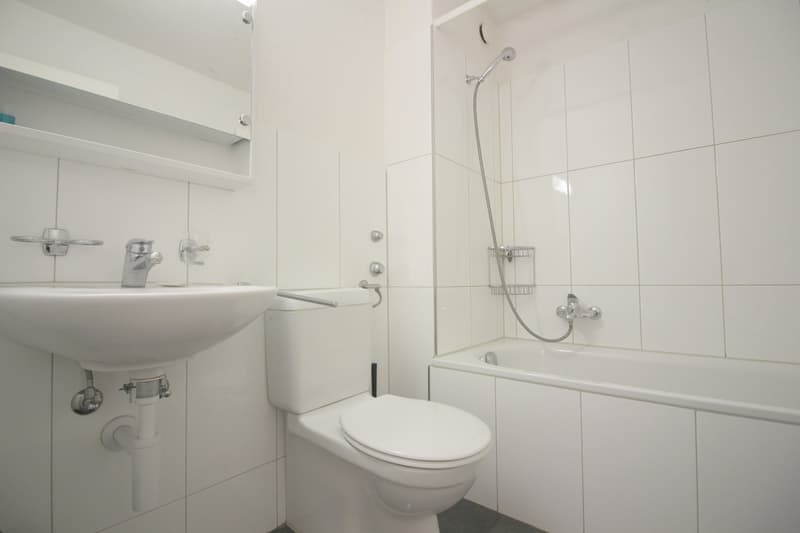 4 Zimmer Wohnung in Oerlikon (6)