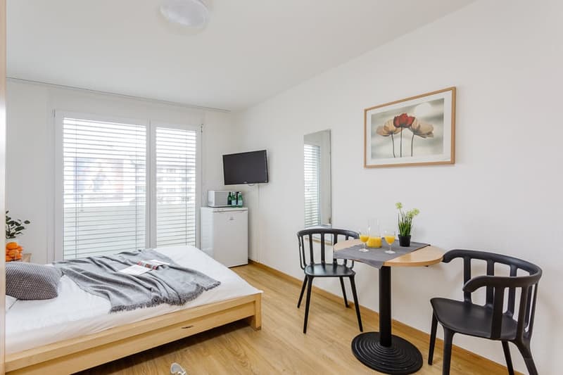 A small room with a bed, a desk with two chairs, a TV, a refrigerator, and a plant.