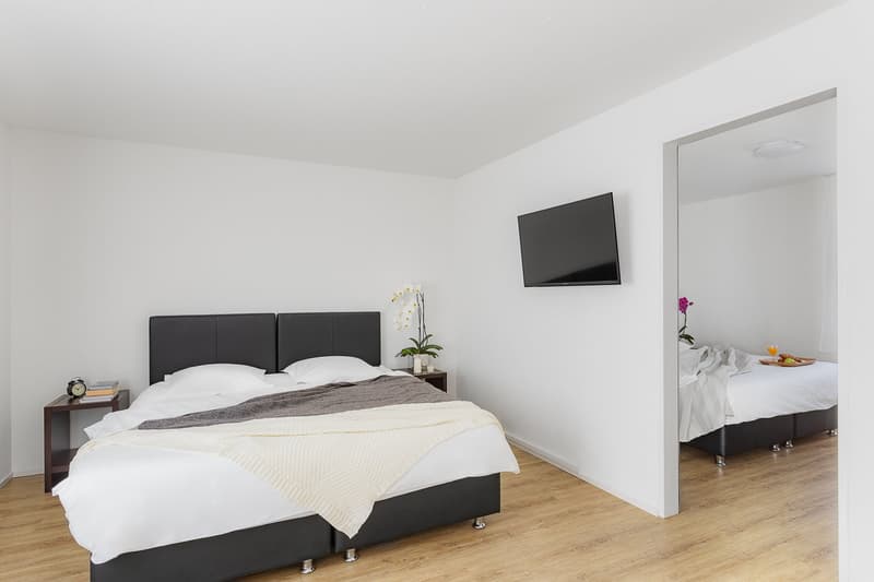 Modernes Apartment mit 2 Schlafzimmern in Wiedikon (4)