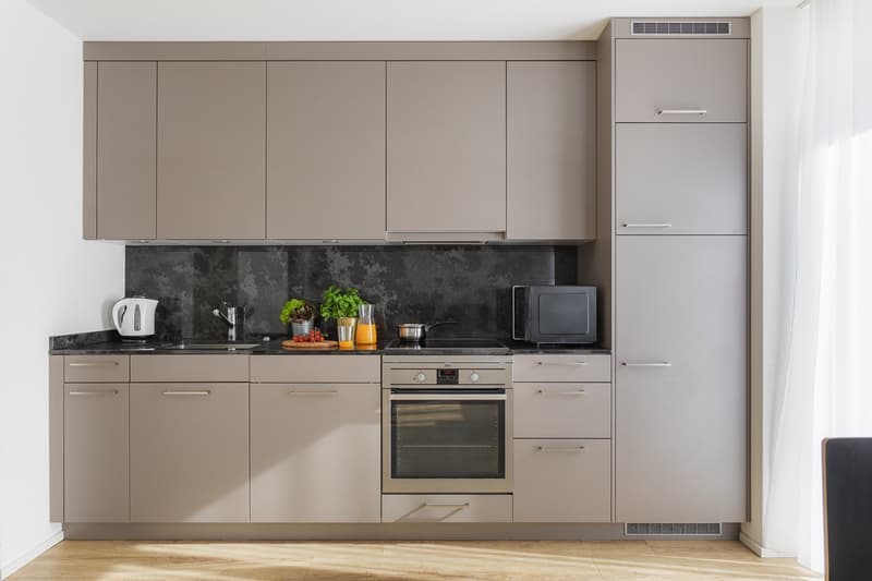 Modernes Apartment mit 2 Schlafzimmern in Wiedikon (6)
