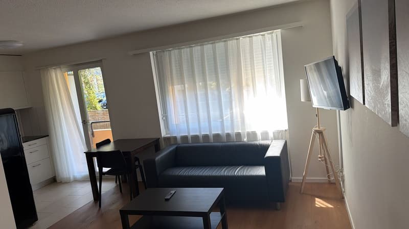 A living room with a black leather couch, a wooden table, a TV, a lamp, and a balcony with a view of the outside.