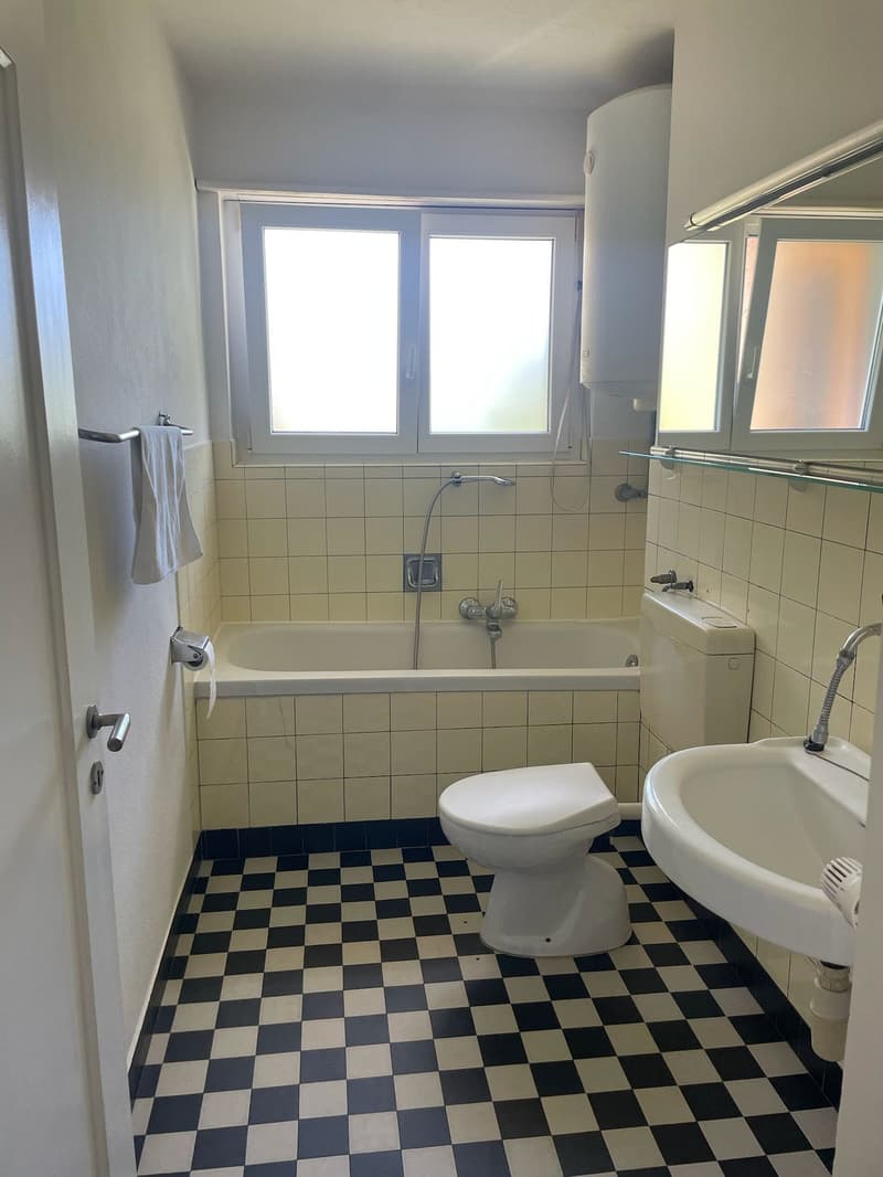 Charming 1.5-Room Apartment with Modern Amenities in Zürich (2)