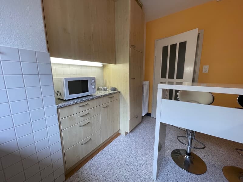 möblierte 2 Zimmer Wohnung, zentral und ruhig gelegen (2)