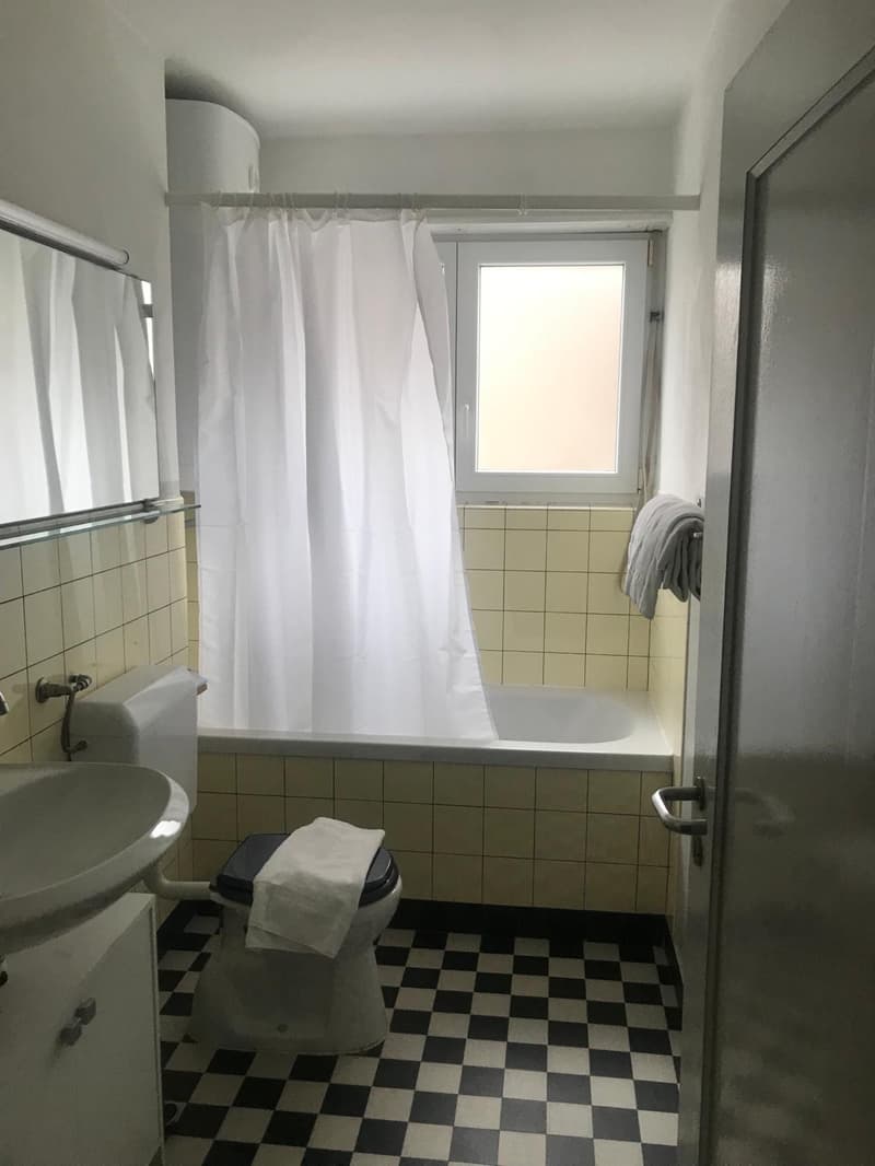 möblierte 2 Zimmer Wohnung, zentral und ruhig gelegen (4)