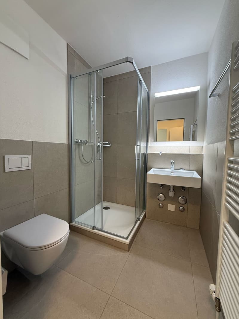Charming 1.5-Room Apartment with Modern Amenities in Zürich (4)