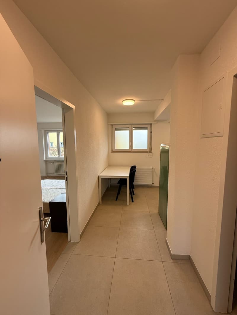 Charming 1.5-Room Apartment with Modern Amenities in Zürich (3)