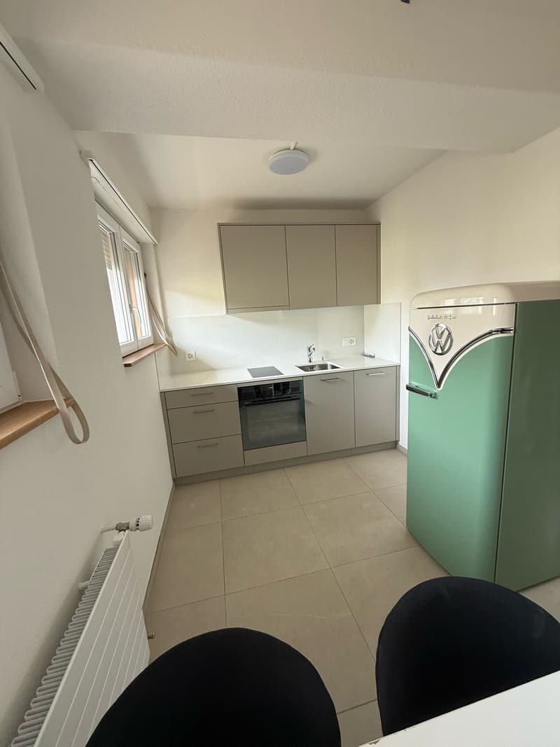 Charming 1.5-Room Apartment with Modern Amenities in Zürich (1)