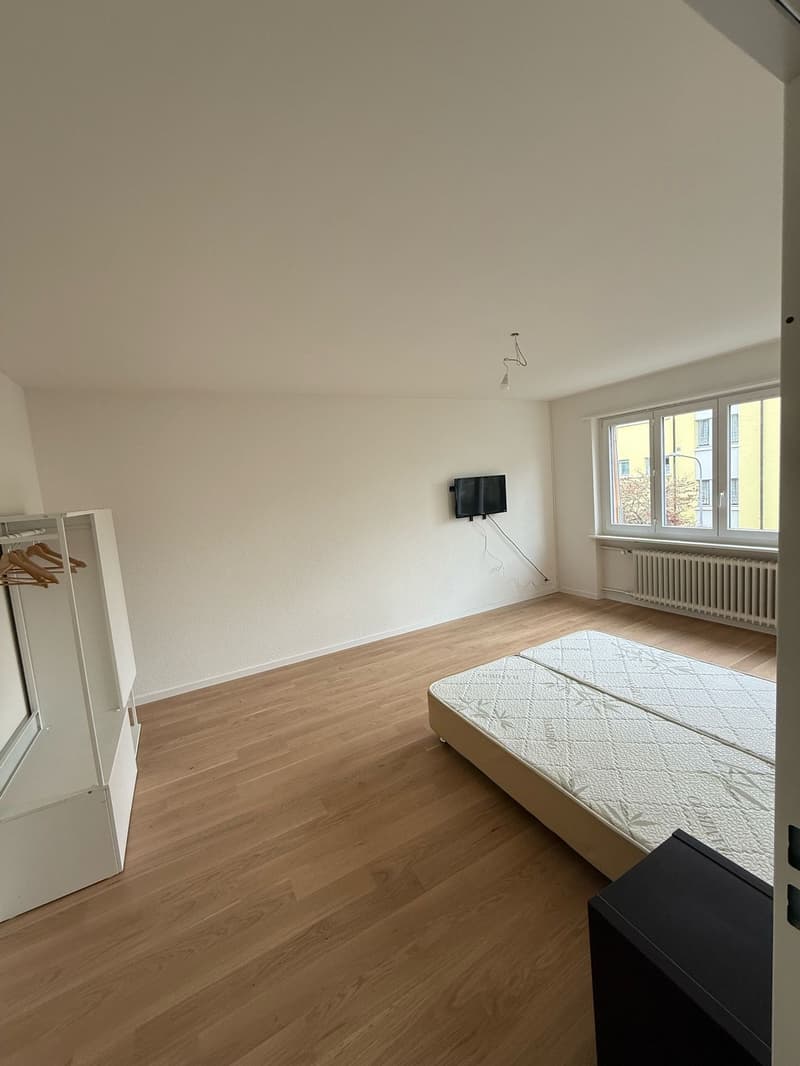 Charming 1.5-Room Apartment with Modern Amenities in Zürich (2)