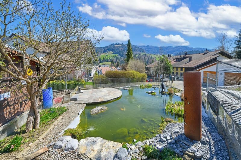 Teich