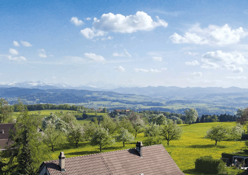 Dachwohnung mit Weitblick | 4½ Zimmer in Hosenruck (8)