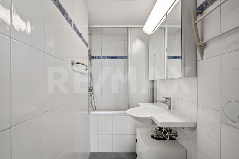 Schöne 4-Zimmer Wohnung mit wundervollem Blick auf den Zürichsee (12)