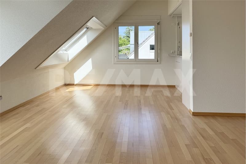 2.5-Zimmer-Dachwohnung mit spektakulärer Aussicht über Zürich (7)