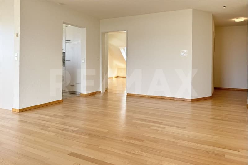 2.5-Zimmer-Dachwohnung mit spektakulärer Aussicht über Zürich (8)