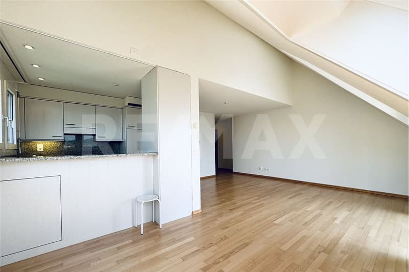 2.5-Zimmer-Dachwohnung mit spektakulärer Aussicht über Zürich (2)