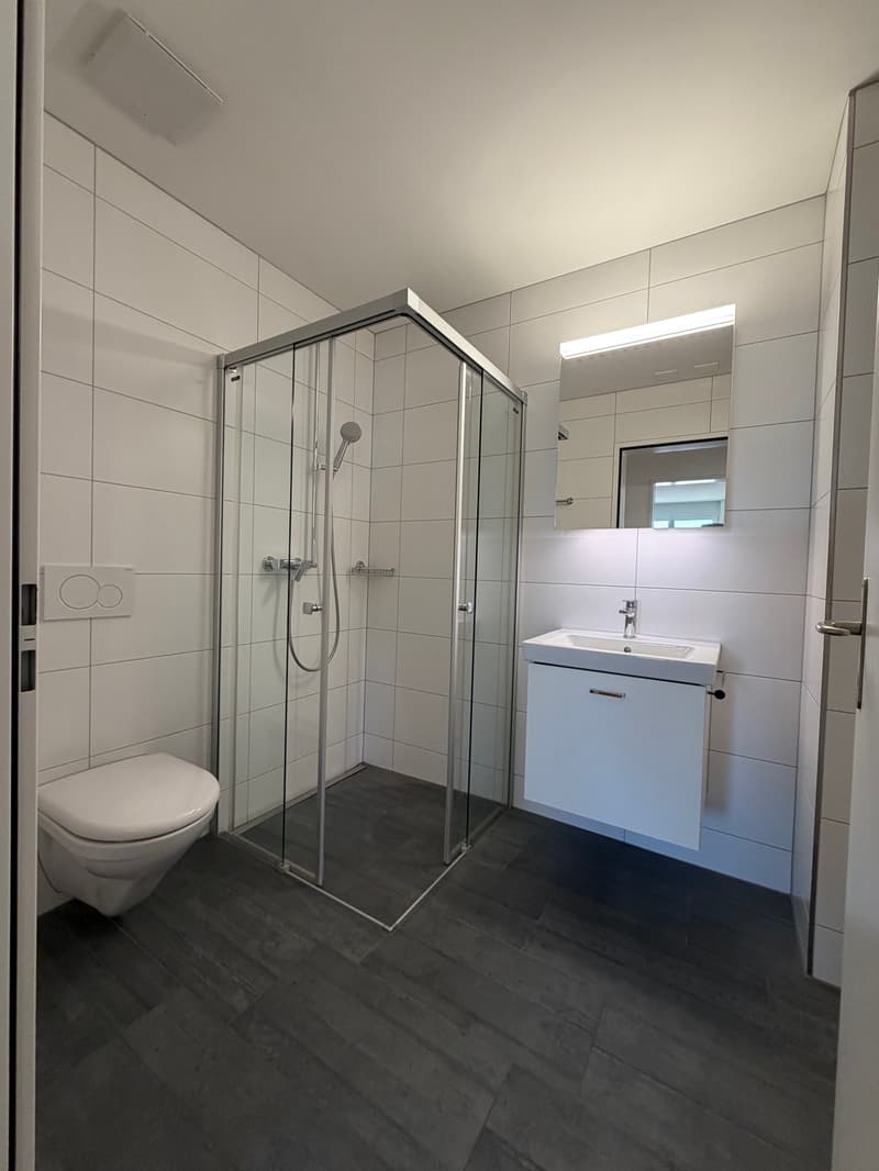 modern bathroom with white tiles, glass shower enclosure, white sink, mirror, toilet