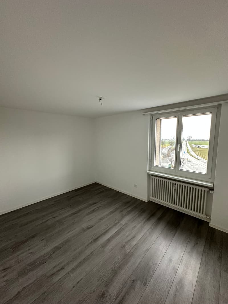 empty room, white walls, wooden floor, window with view, radiator