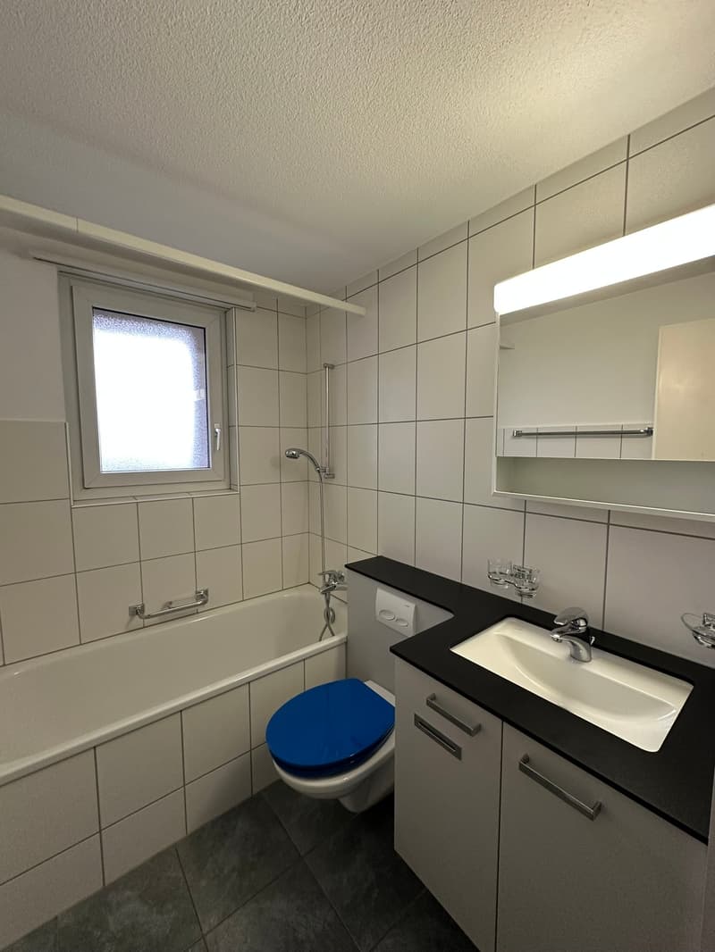 Bathroom with bathtub, toilet, sink, and shower