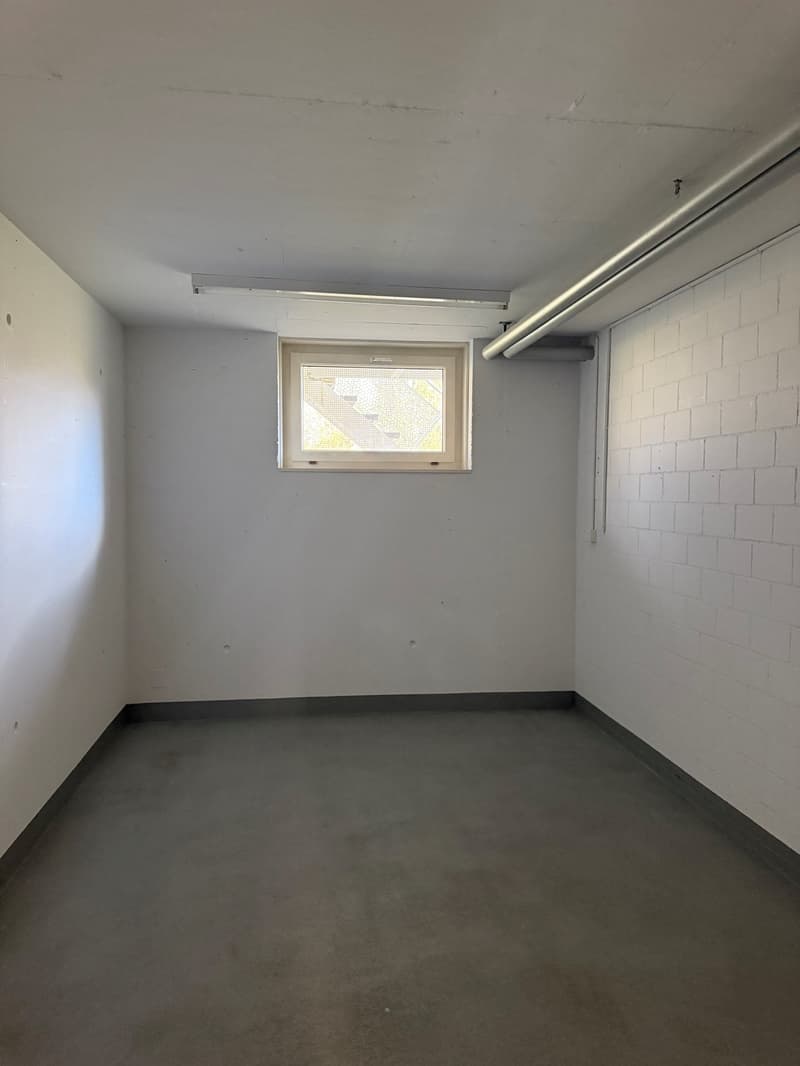 Helles 4.5 Zimmer-Reiheneinfamilienhaus in Thalwil zu vermieten (15)