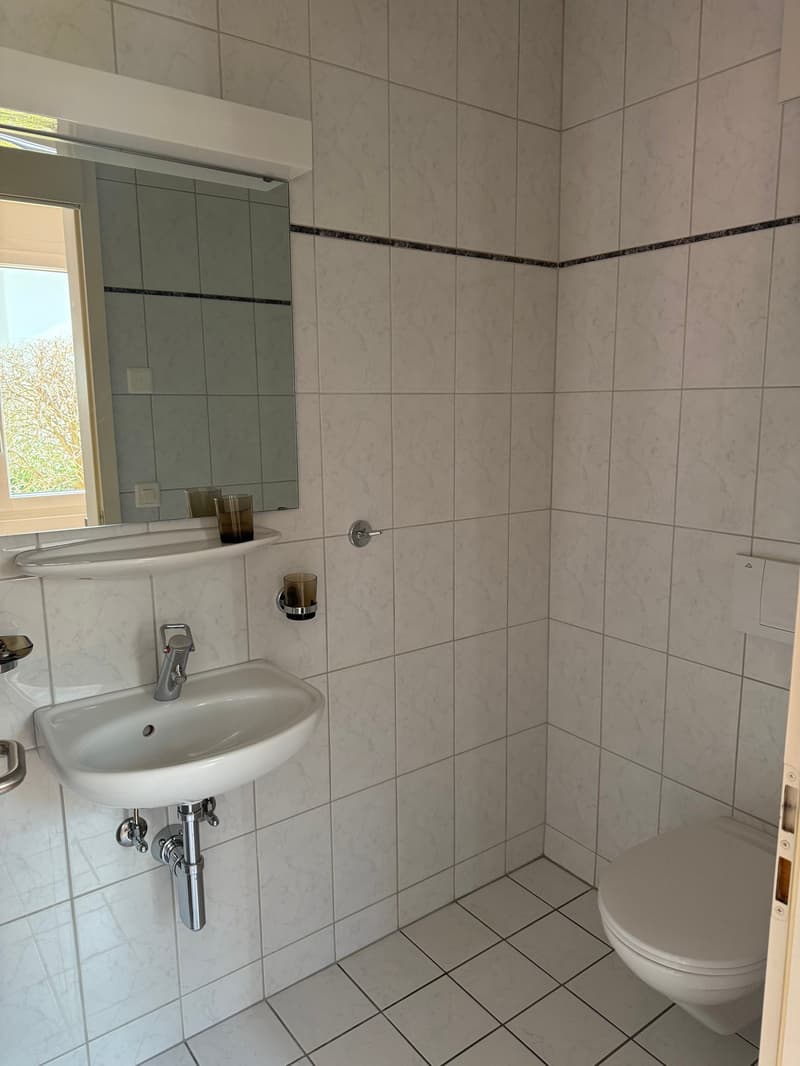 Helles 4.5 Zimmer-Reiheneinfamilienhaus in Thalwil zu vermieten (4)