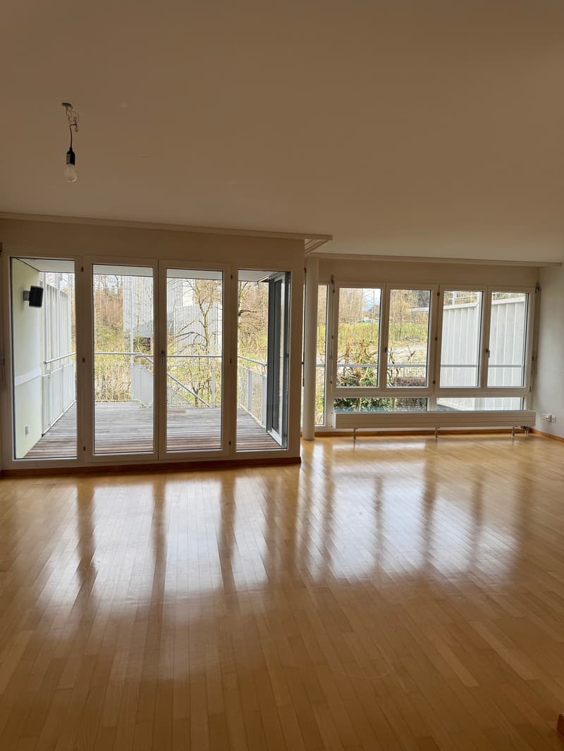 Helles 4.5 Zimmer-Reiheneinfamilienhaus in Thalwil zu vermieten (5)