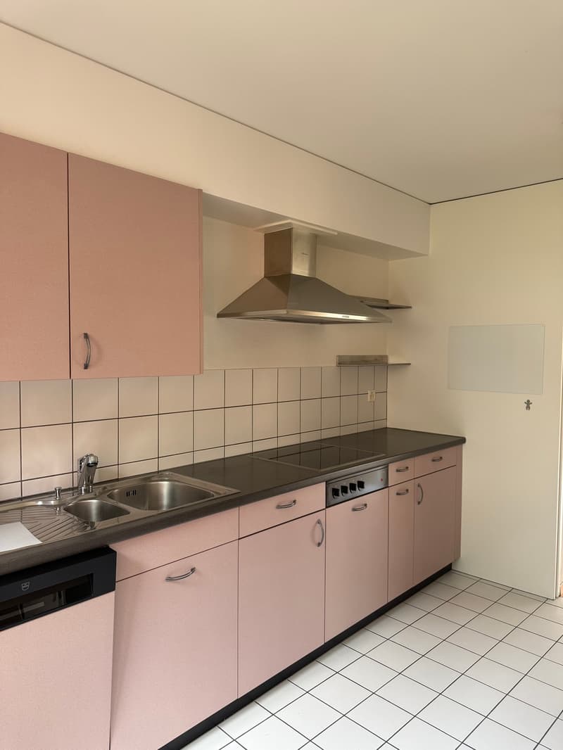 Helles 4.5 Zimmer-Reiheneinfamilienhaus in Thalwil zu vermieten (3)