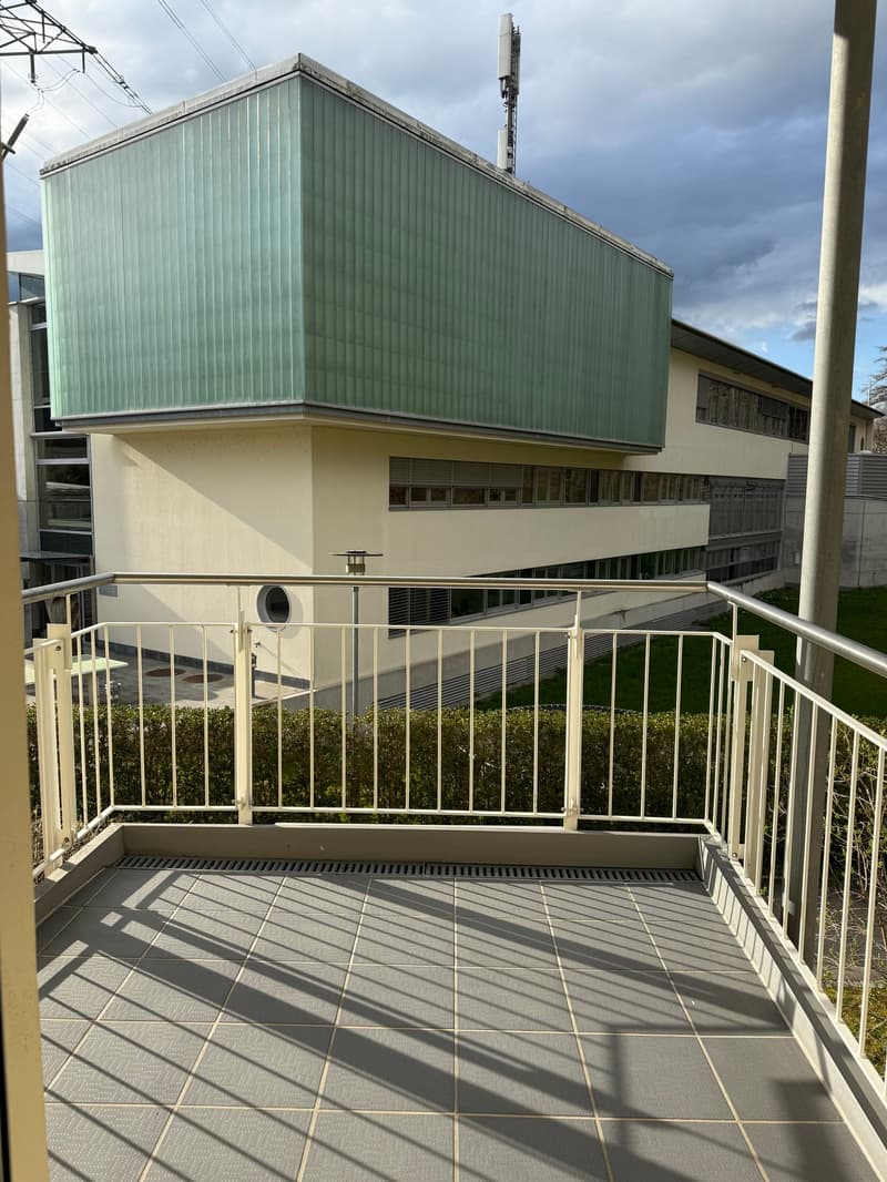 Helles 4.5 Zimmer-Reiheneinfamilienhaus in Thalwil zu vermieten (8)