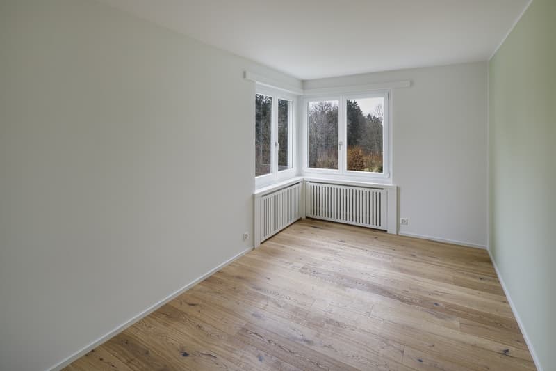 3.5 - Zimmerwohnung an sehr gut besonnter Lage in Pfaffhausen (7)
