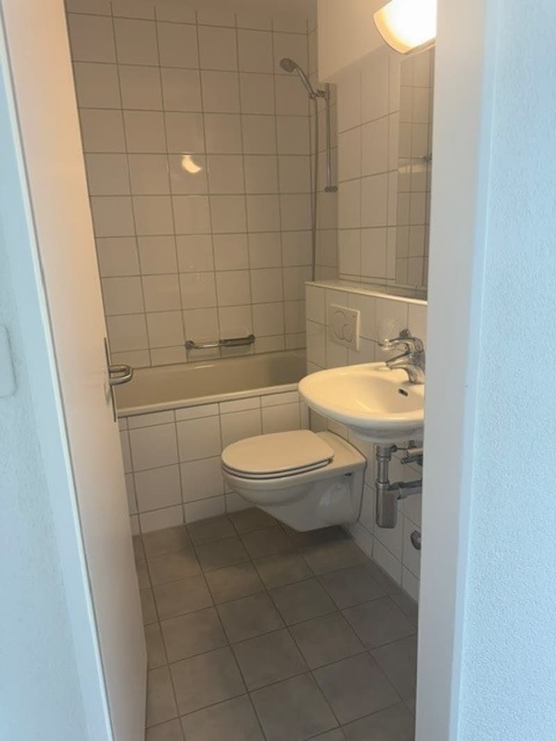 Schöne 2- Zimmerwohnung nahe Römerhof zu vermieten (6)