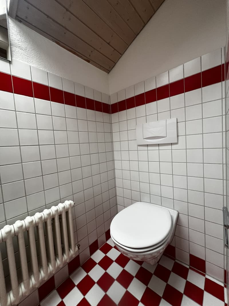 Schöne 3.5- Zimmerwohnung nahe Römerhof zu vermieten (12)