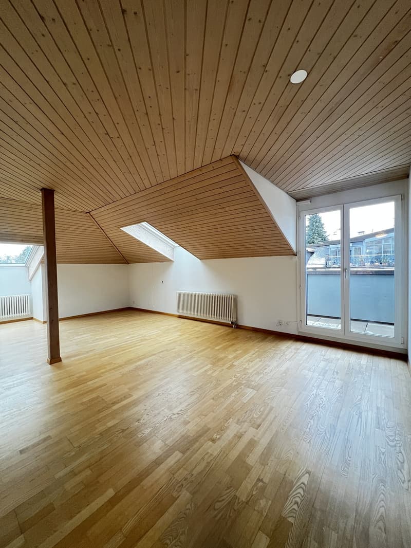Schöne 3.5- Zimmerwohnung nahe Römerhof zu vermieten (8)
