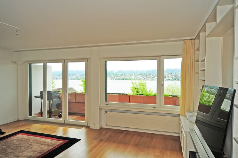Schöne 2.5- Zimmerwohnung mit direkter Sicht auf den Zürichsee (4)